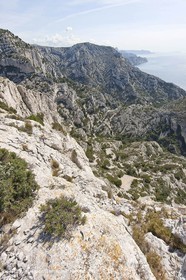 18 04 2009 - Marseille (FRA, 13) - Les Calanques - At the summit od rocher St Michel - Vallon de la Mounine