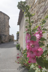 10 06 2018, Gignac (FRA,84)