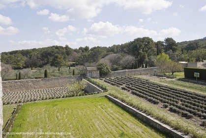 25 03 2005 - Saint Rémy de Provence - (FRA,13) - Le Midi de Van Gogh - Saint Paul de Mausole