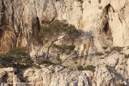 06 05 2009 - Marseille (FRA, 13) - Les Calanques - near Castelviel cliffs bottom