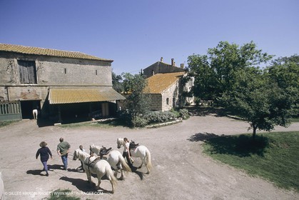 France, Provence, Camargue, Mas traditionnel de Camargue