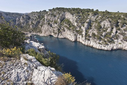 06 05 2009 - Marseille (FRA, 13) - Les Calanques - Sur le plateau de Castelviel - En Vau