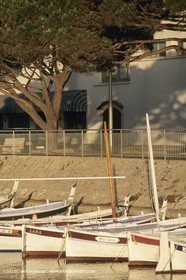 France, Provence, Pêche , Barques, pointus, pêche locale