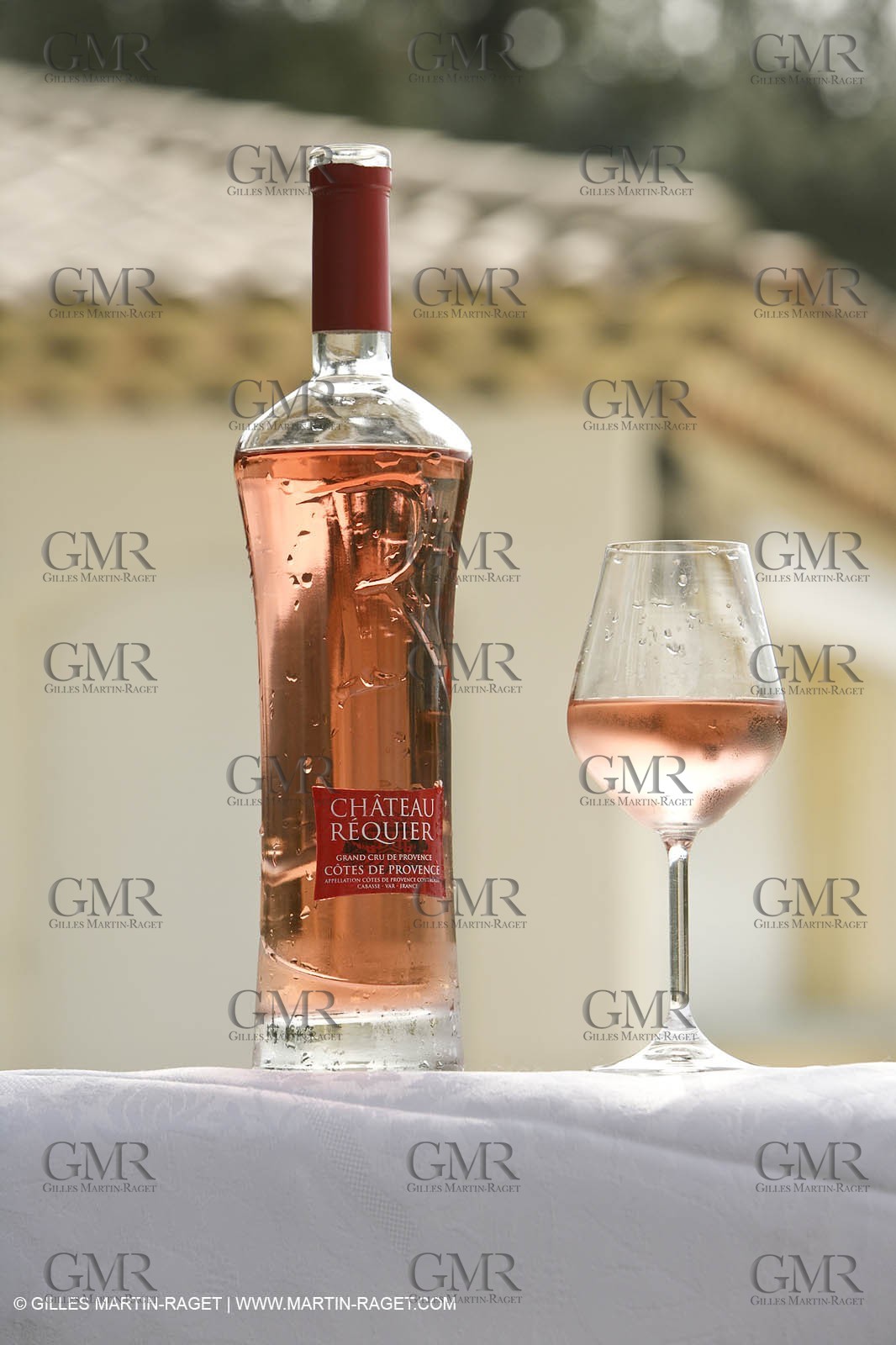 28 02 2008 - Cabasse (FRA, 83) - Domaine du Lac vines