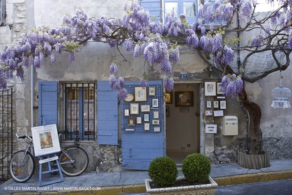 11 04 2008 - Saint Rémy de Provence (FRA, 13) - Glycines en fleur