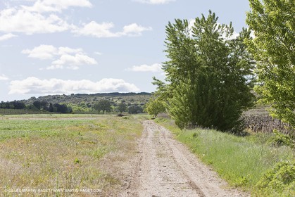 28 04 2009 - Aubarne - Commune de Ste Anastasie (FRA, 30) - Atlas Nîmes Métropole - campagne 2009