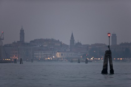 VNZFEBD1_0225.jpg