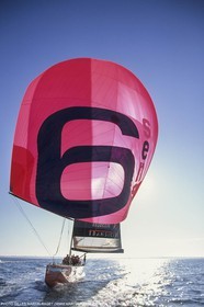 Yacht racing, 30th America's Cup 2000, Auckland (NZL), Le Défi, 6ème Sens
