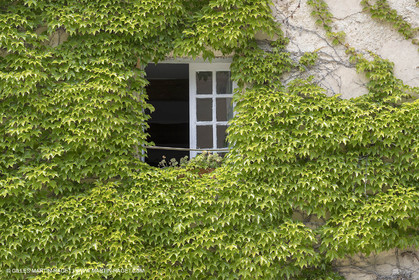 10 06 2018, Saignon (FRA,84)