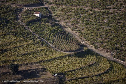 17 10 2011 - Vermeille Coast (FRA, 66) - Corbières Vineyards