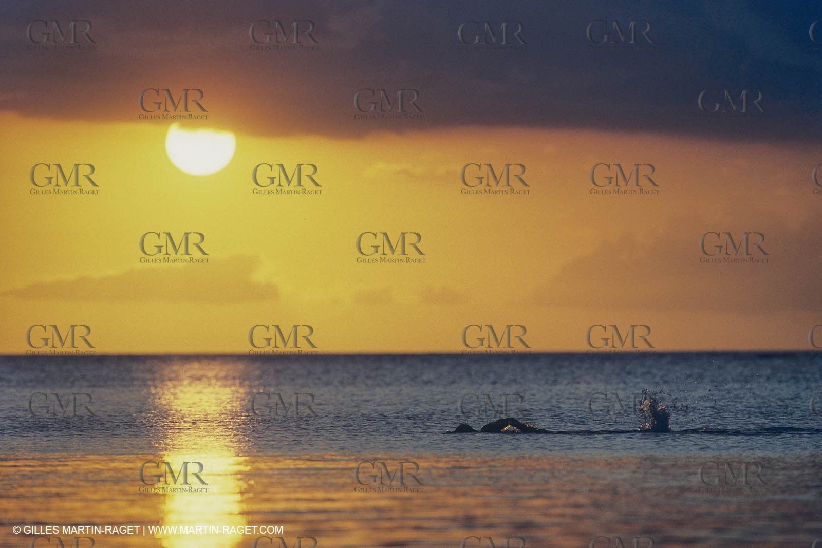 Water SPorts, plage, bains de mer, natation, swimming, beach