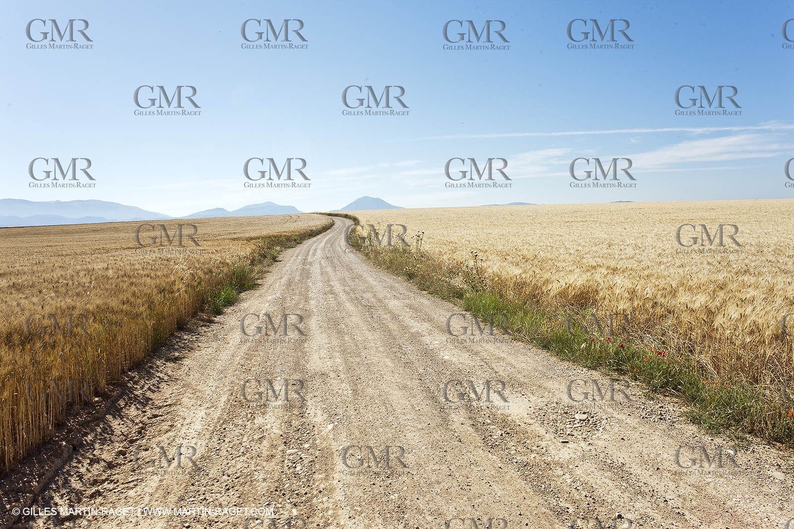 27 06 2011 - Valensole (FRA, 04) - Lavander fields