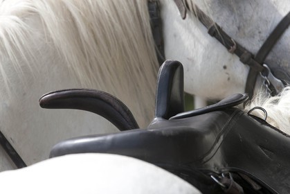 03 07 2011 - Arles (FRA,13) -  2011 Arles Costume celebration