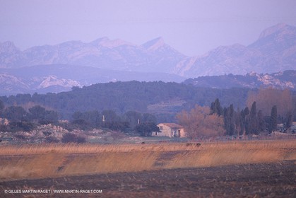 France, Provence, paysage des Alpilles, Alpilles landscapes