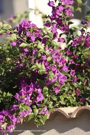 29 07 2009 - Marseille (FRA, 13) - Les Calanques