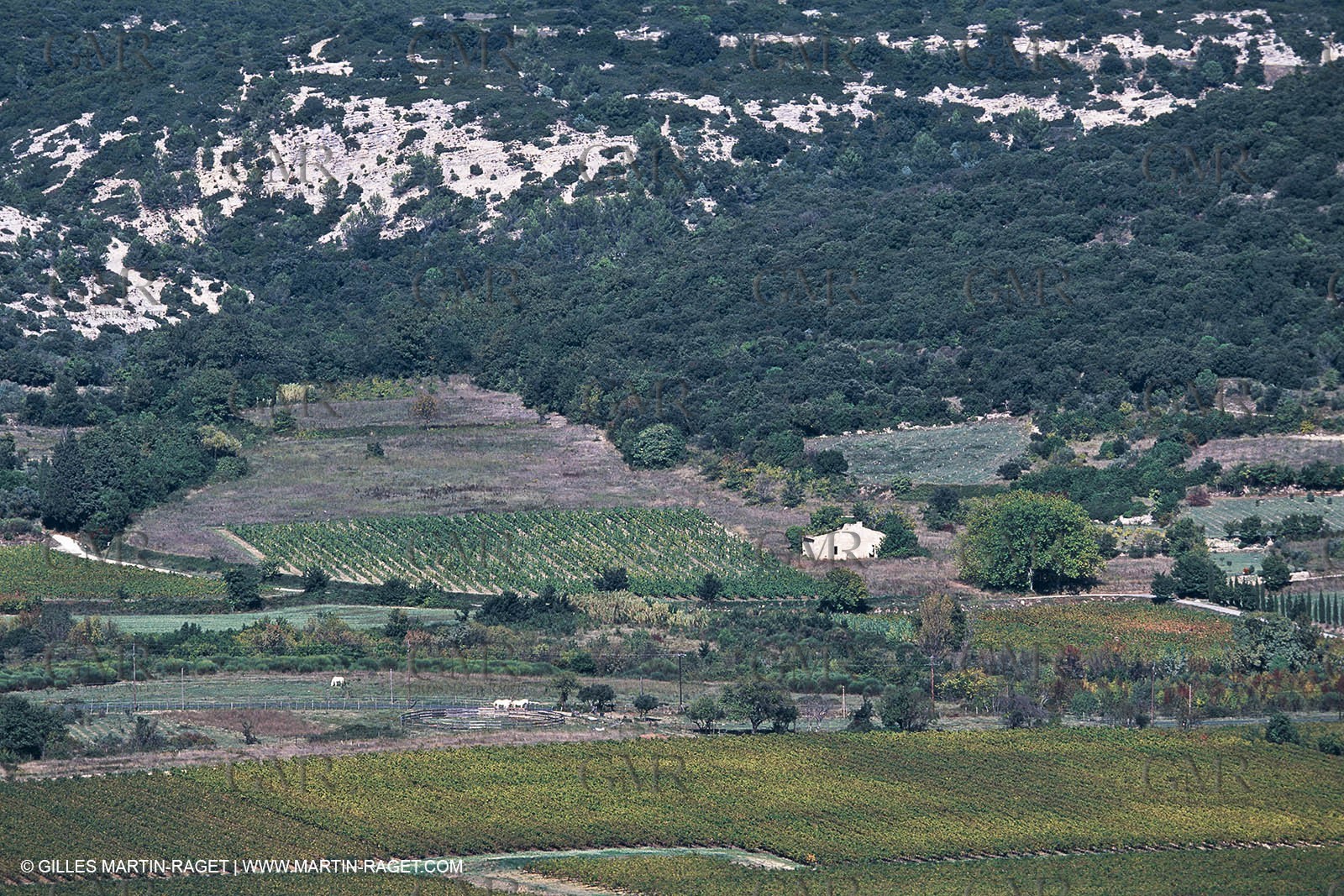 Nîmes Métropole landscapes (FRA,30) - Vaunage
