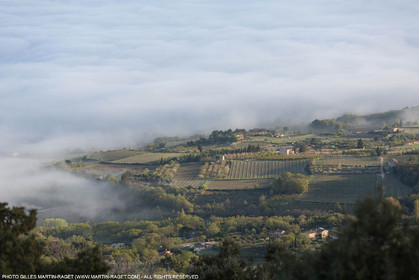 12 04 2016, Parc National du Luberon (FRA, 84)