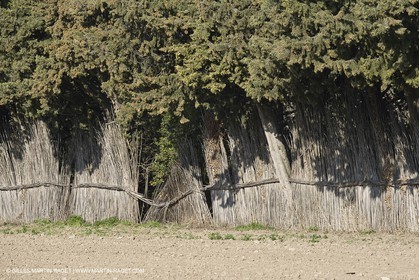 22 02 2008 - Saint Rémy de Provence (FRA, 13) - Alpilles hills landscapes