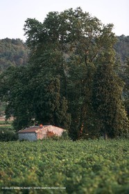 Nîmes Métropole landscapes (FRA,30) - Vaunage