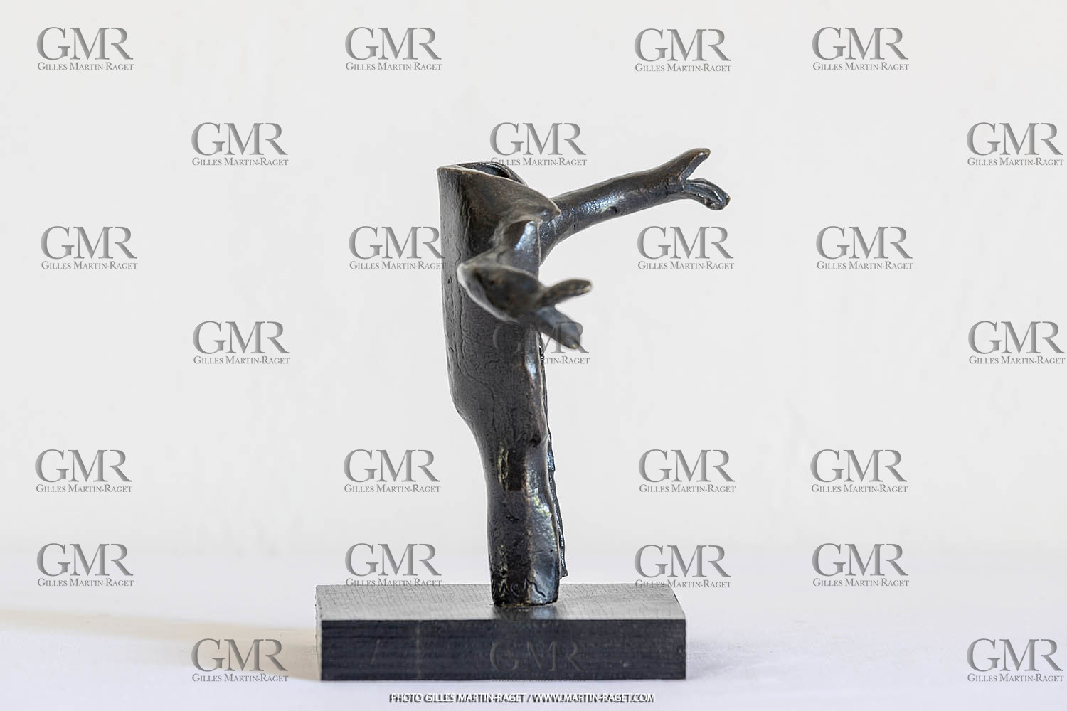08 06 2012, St Rémy de Provence, Oeuvre de Germaine Richier, Guerrier n° 6 1953, Bronze patiné foncé, Epreuve d'exposition, 14 x 14 x 10,5 cm, Collection particulière