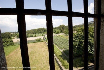 10 06 2008 - Saint Rémy de Provence - (FRA,13) - Le Midi de Van Gogh - Saint Paul de Mausole