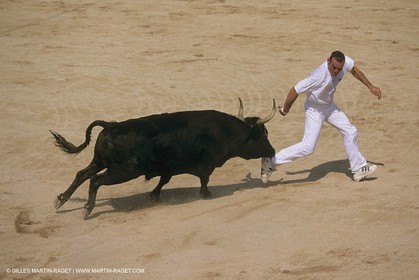 France, Provence, Course libre