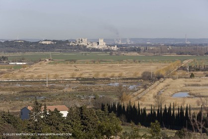 05 02 2008 - Arles (FRA, 13) - Paysages du Pays d'Arles