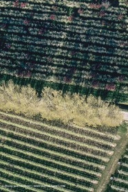 France, Provence, Pays d'Aix en Provence