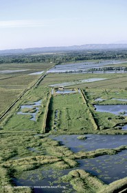 Ponds from Camargue