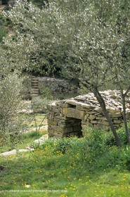 NIM0120058.jpg