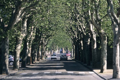Nimes Metropole landscapes (FRA,30)