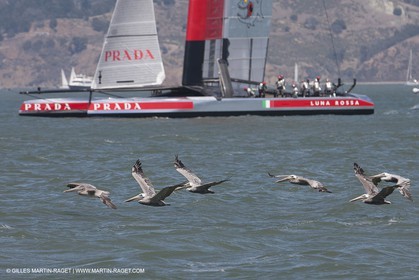 24 08 2013 - San Francisco (USA,CA) - 34th America's Cup - Louis Vuitton Cup Final, Day 6, Emirates Team New Zealand Vs Luna Rossa
