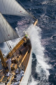 YC9H7380.JPG