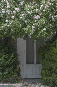 10 06 2018, Saignon (FRA,84)