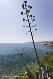 26 06 09 - Sanary sur mer (FRA,83)