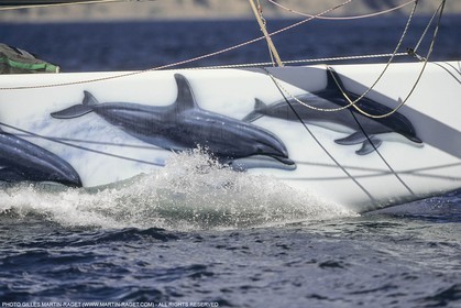 Courses à la voile, Coupe de l'America 2000, America's Cup 2000, Auckland (NZL)