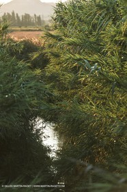 Nîmes Métropole landscapes (FRA,30) - Vaunage