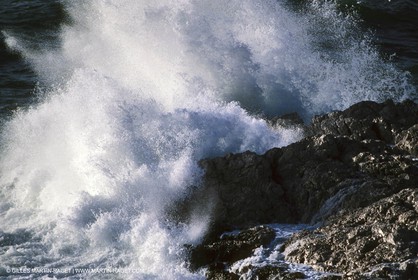 tempest