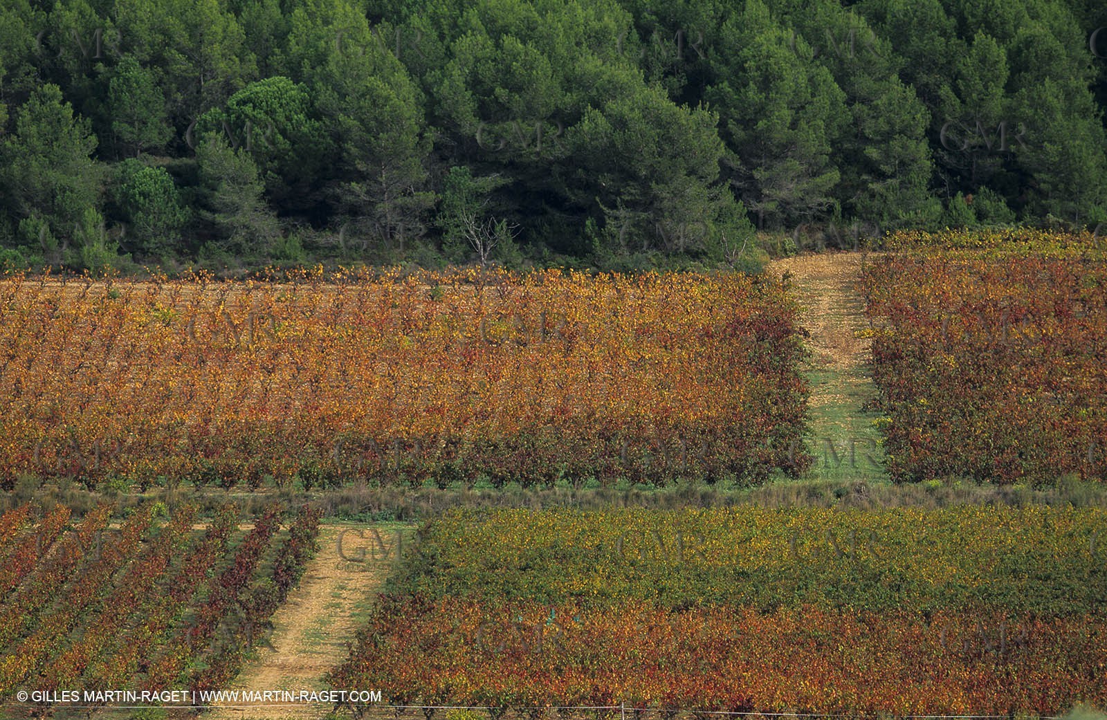 Paysages de Nîmes Métropole (FRA,30) -Costières
