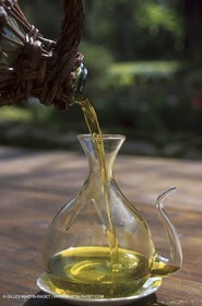 Olive Oil