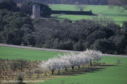 Luberon en hiver vers Saint Saturnin les Apts (FRA,84)