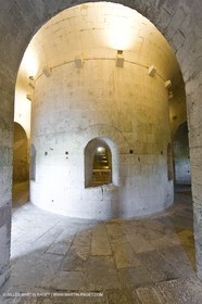 04 05 2008 - Arles (FRA,13) - Abbaye de Montmajour