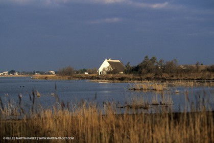 Camargue (FRA,13) - Gardians