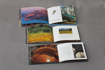 13 03 2010 - Marseille (FRA,13)