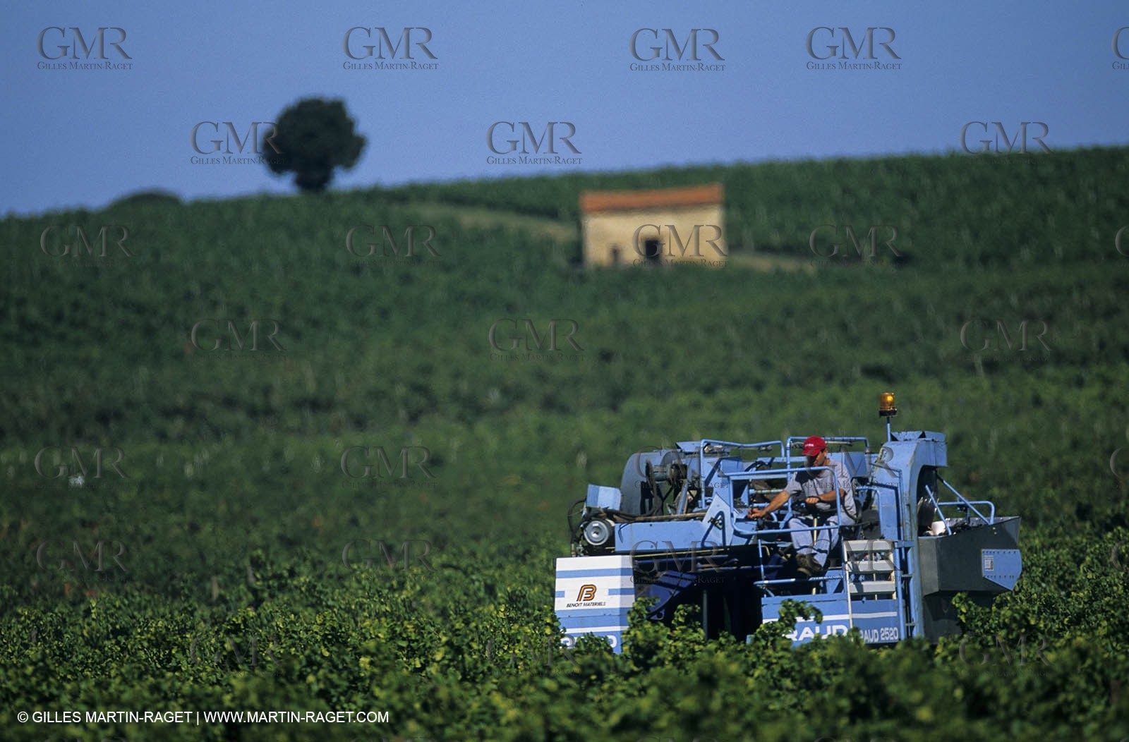 Paysages de Nîmes Métropole (FRA,30) -Costières