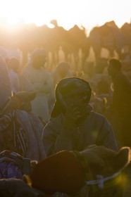 20 11 2010 - Dubai (UAE) - Camel races