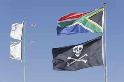 10 11 2014, Capetown (ZAF), Volvo Ocean Race 2014-15, Team Alvimedica