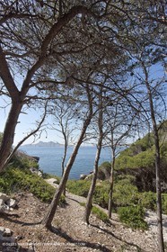 20 05 2009 - Marseille (FRA, 13) - Les Calanques - Calanque des Cairons