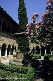 Fréjus (FRA,83) - Cloître de la cathédrale