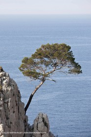 20 03 2009 - Marseille (FRA, 13) - Les Calanques - Pic de l'Eissadon and devenson cliffs